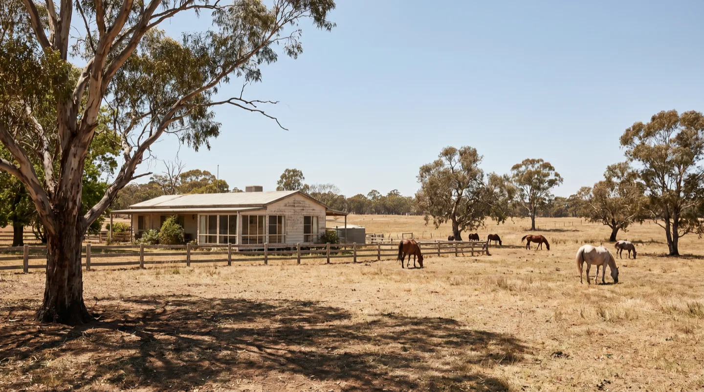 A weatherboard homestead near Scone with horses grazing in a dry paddock